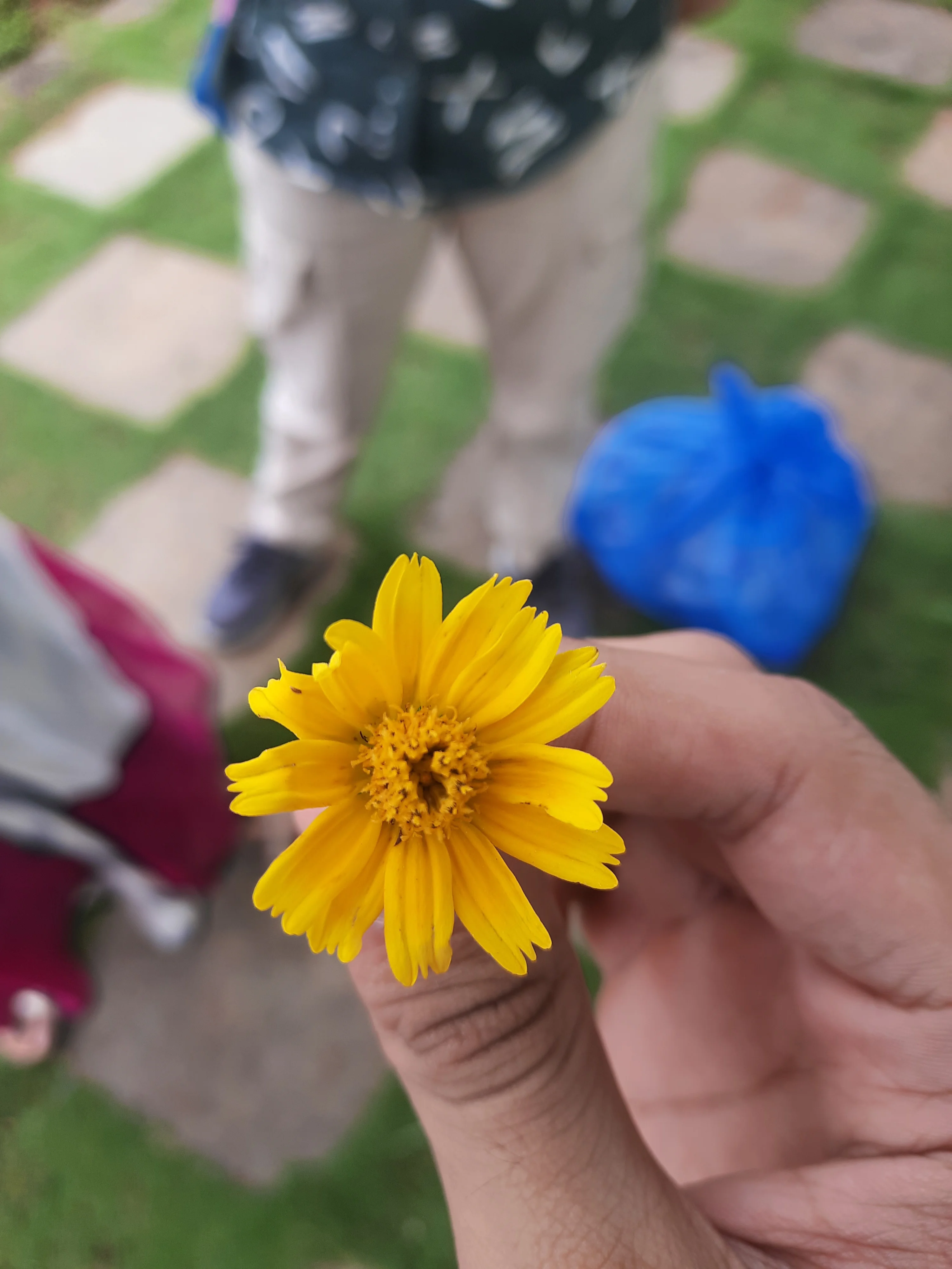 Flower 🌻