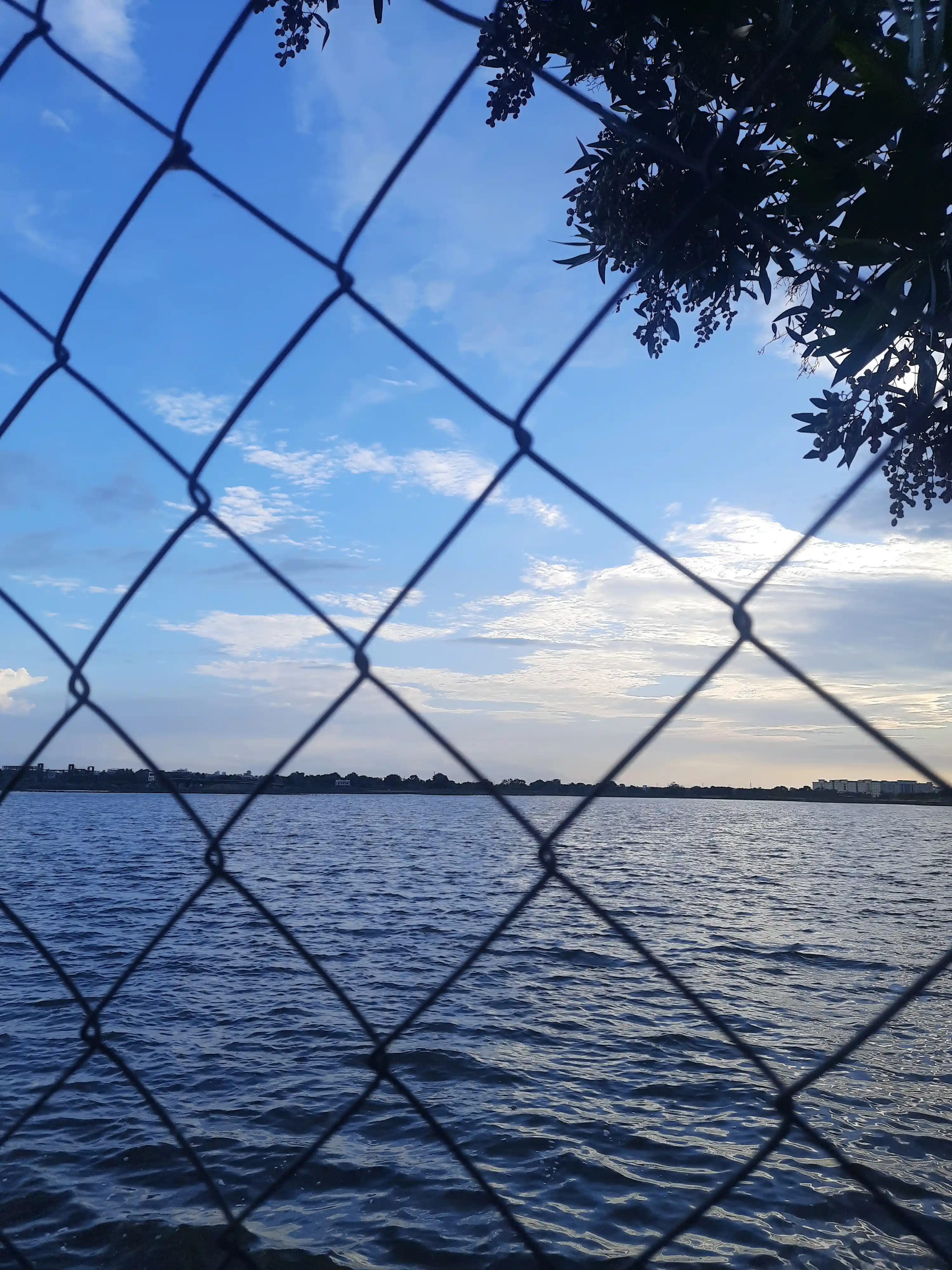 Lake view through fence