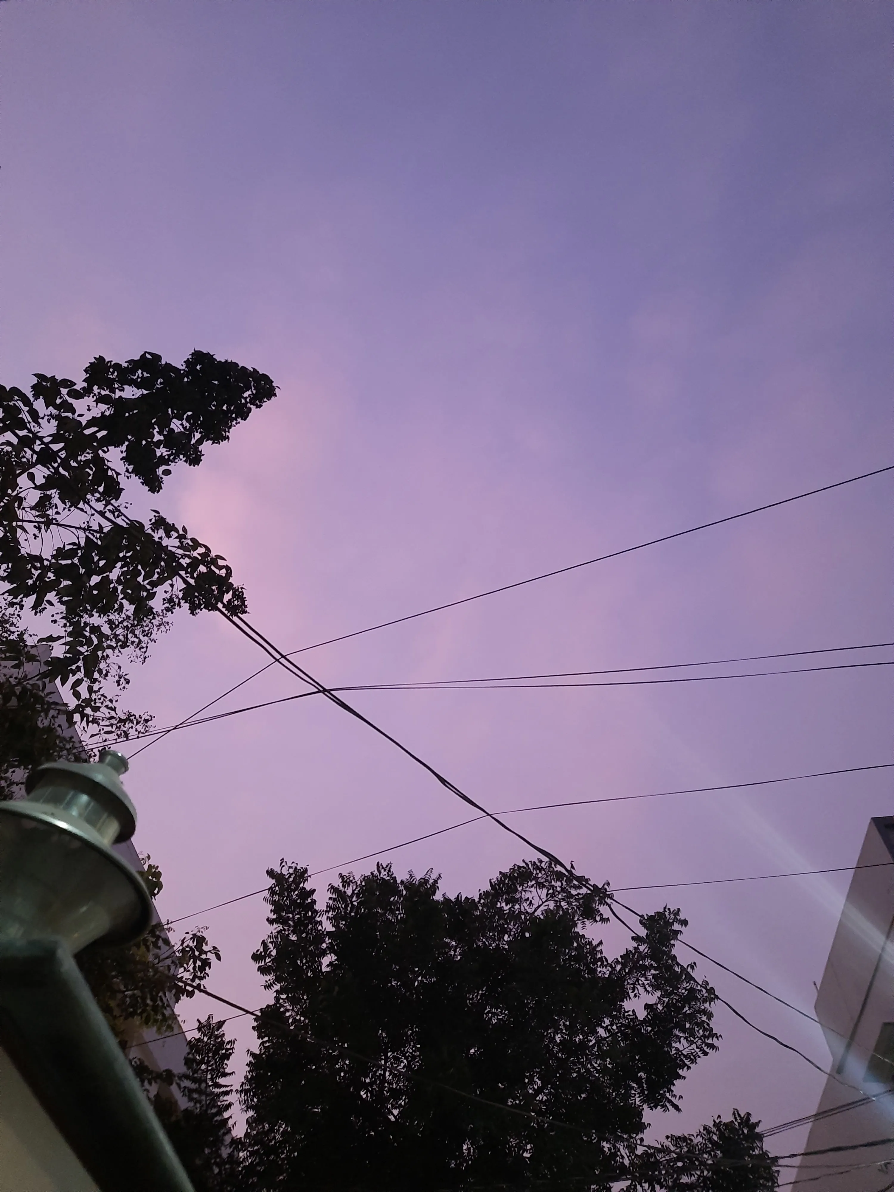 Pink sky