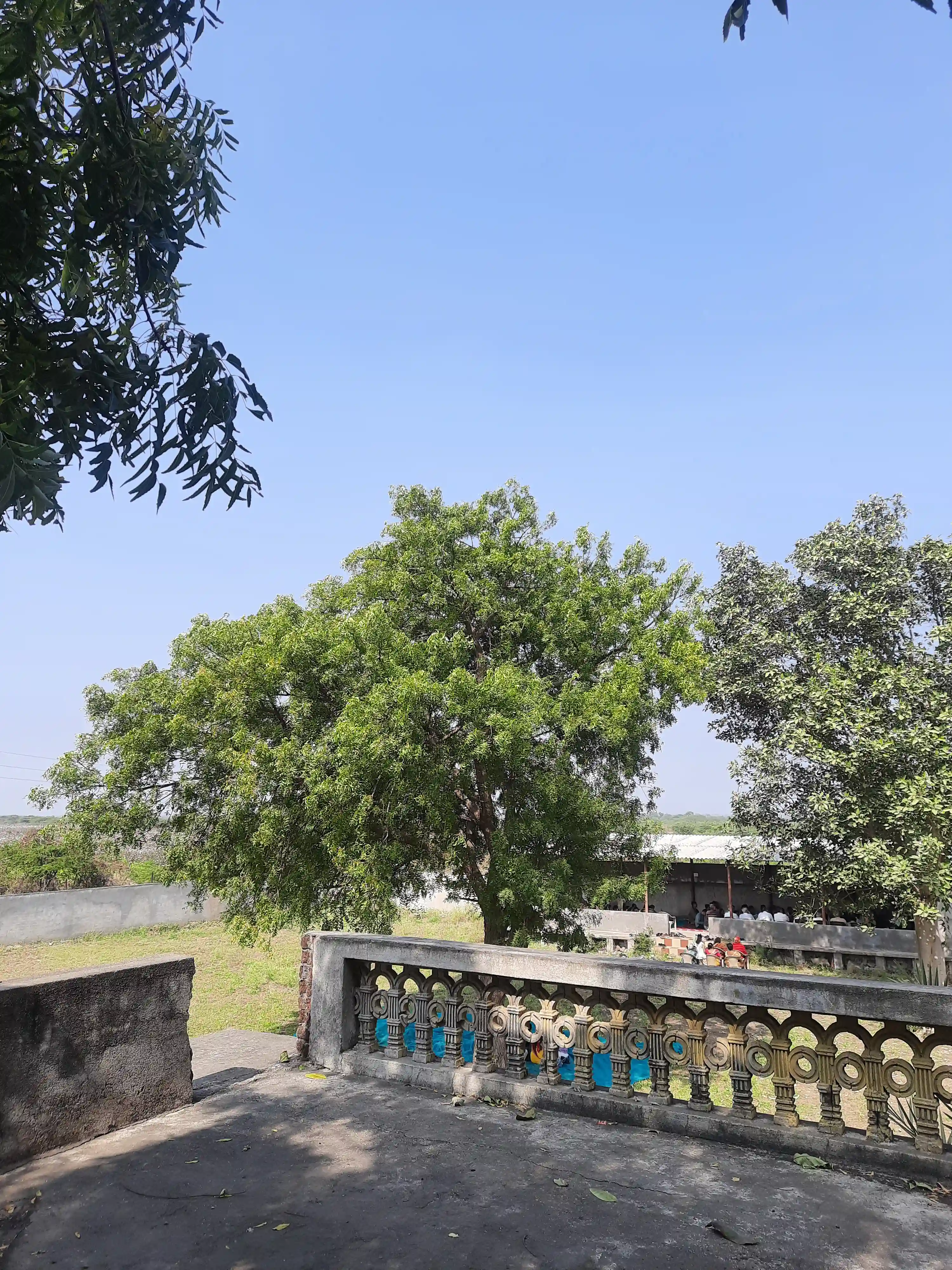 Terrace, sky, trees