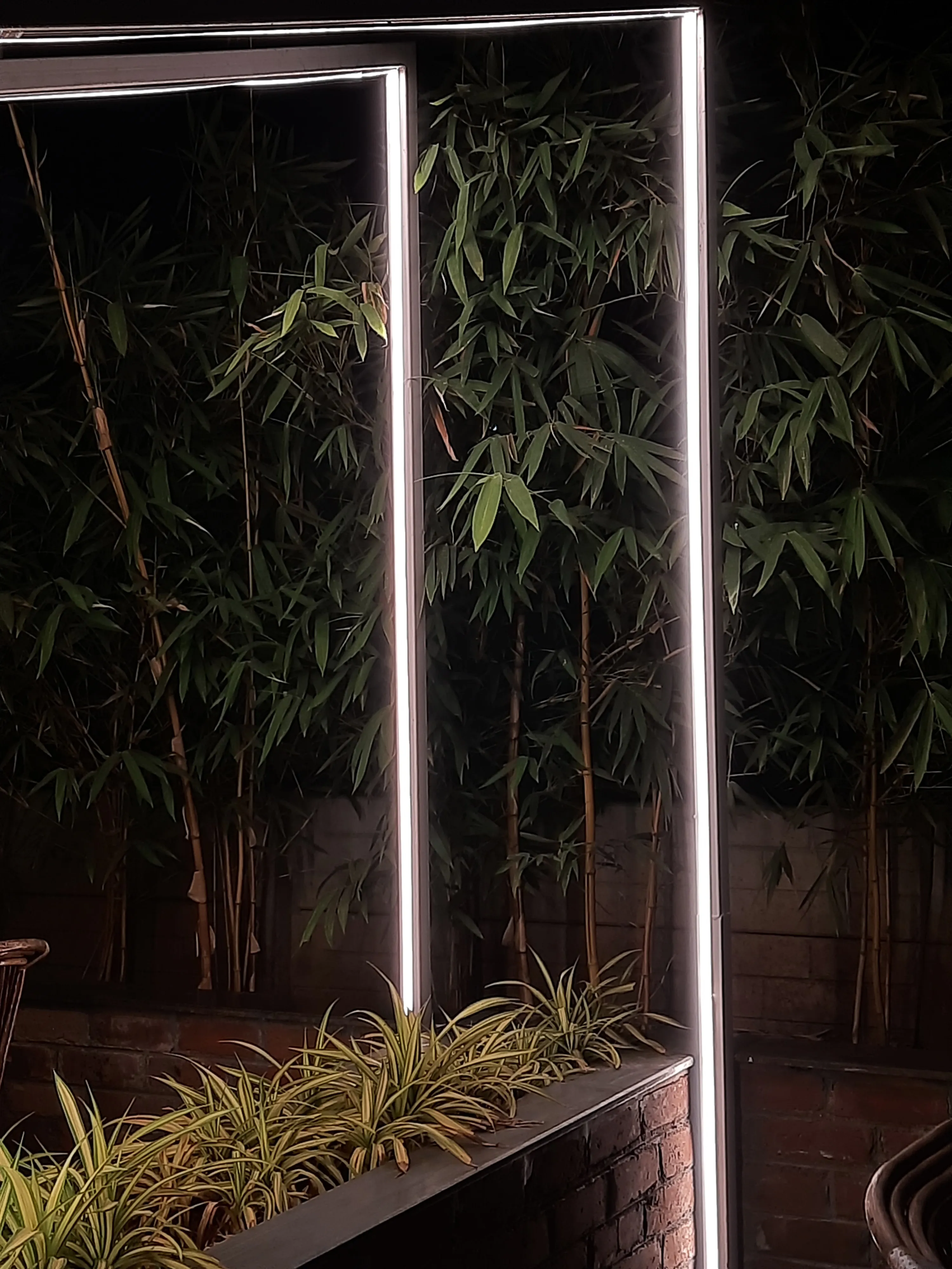 Lights and plants.