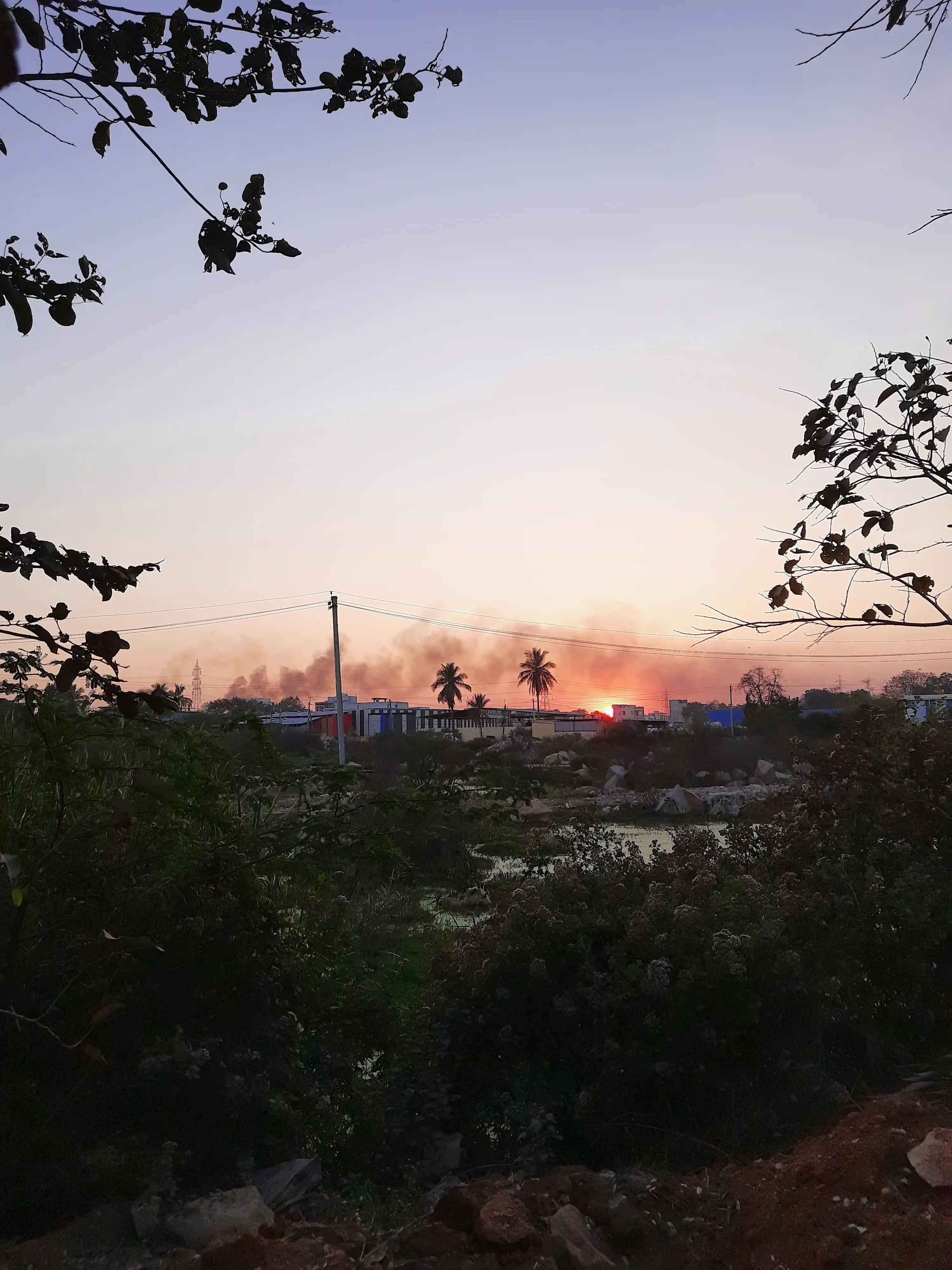 Pollution?