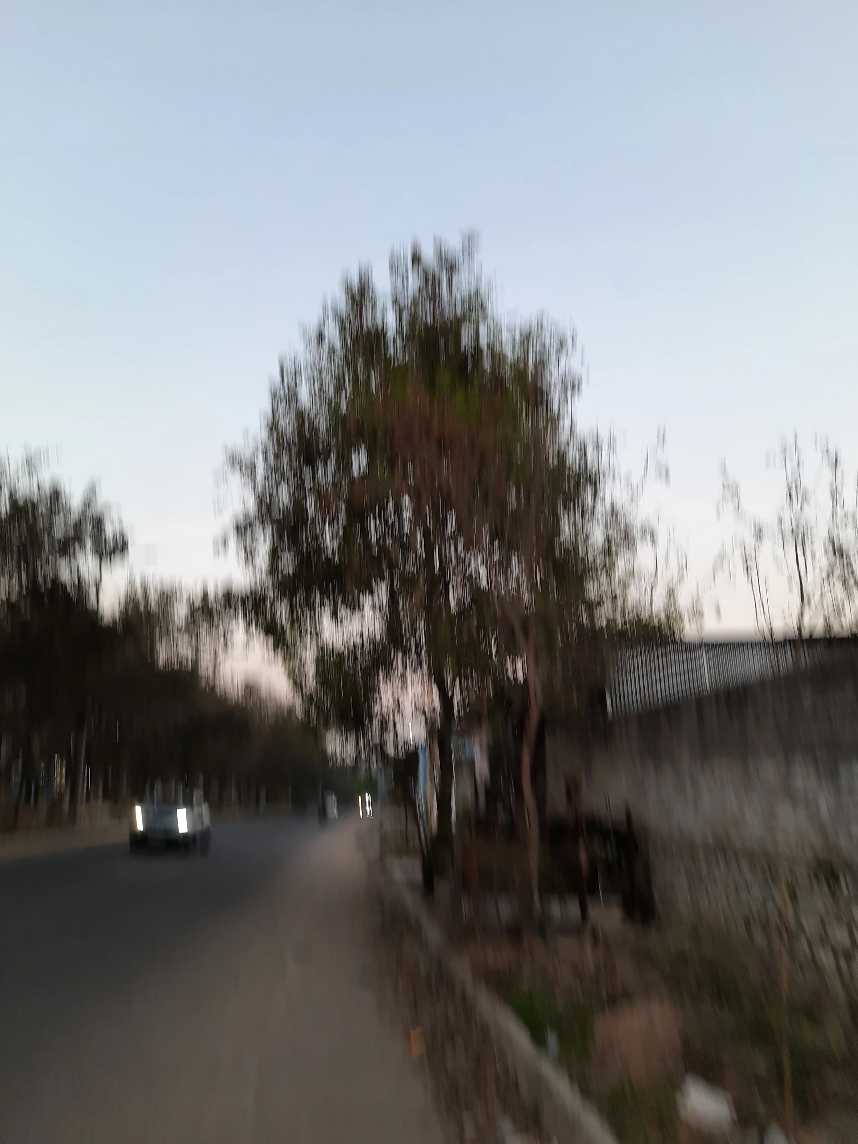 Blur. Walking faster than my phone can take a picture.