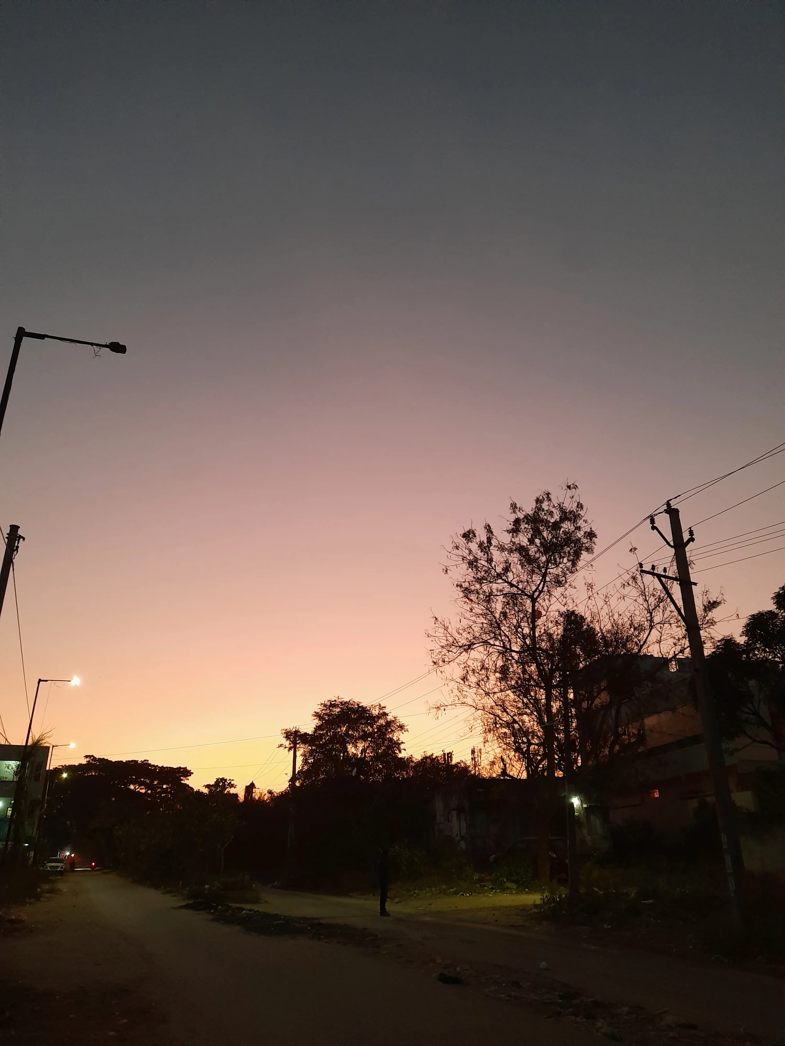 Evening