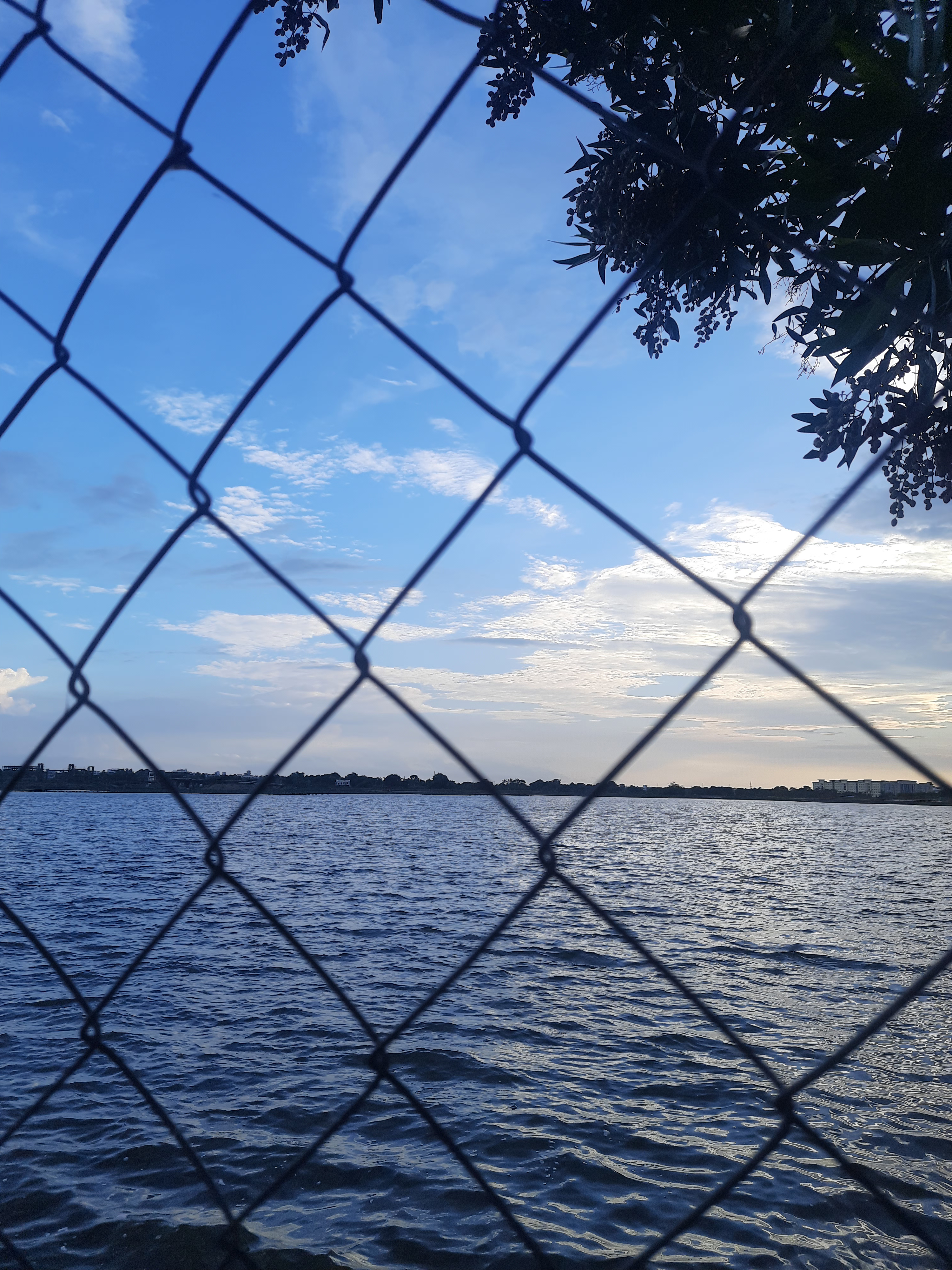 Lake view through fence